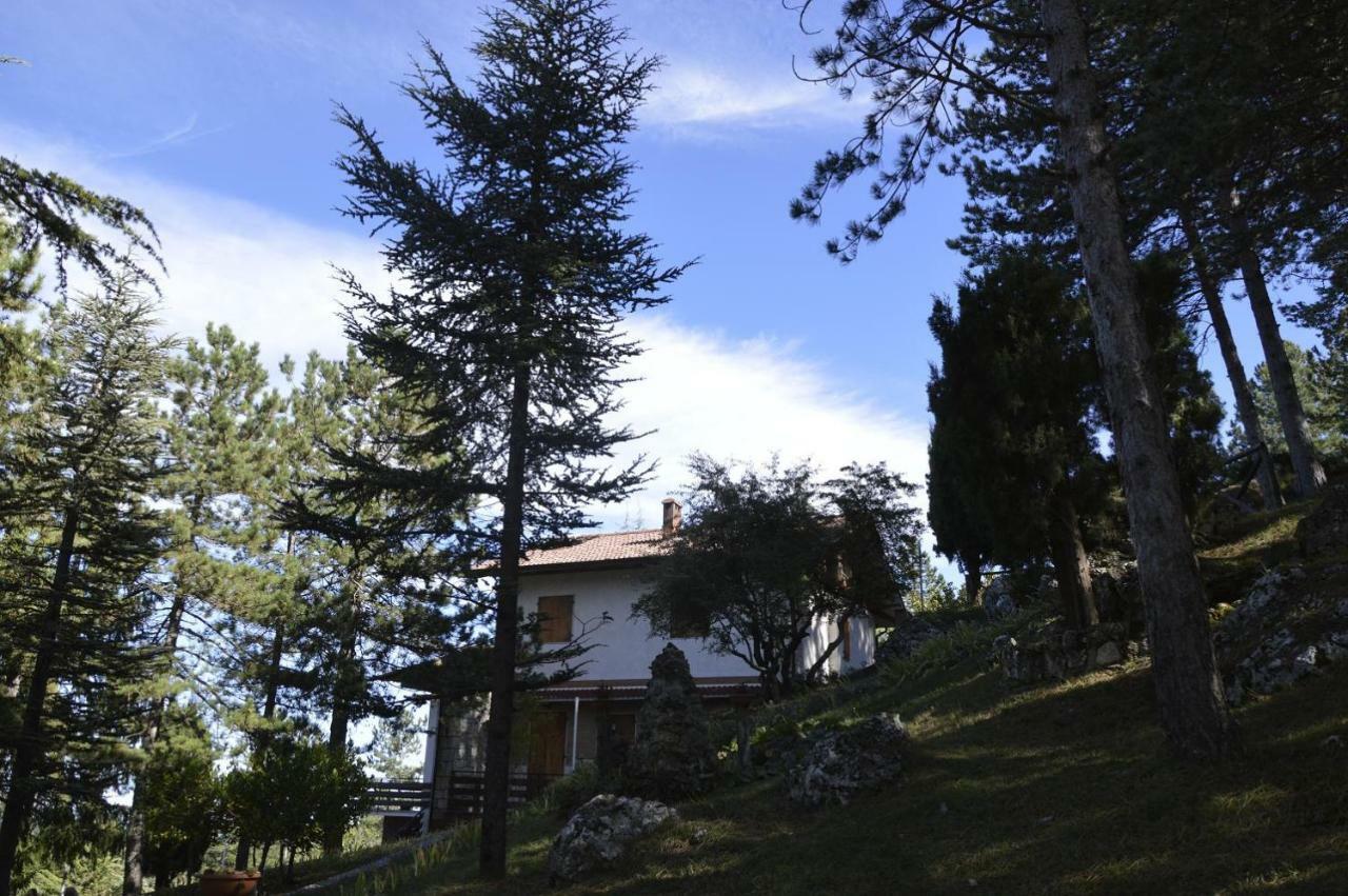 Poggio Eco B&B Ascoli Piceno Exterior foto